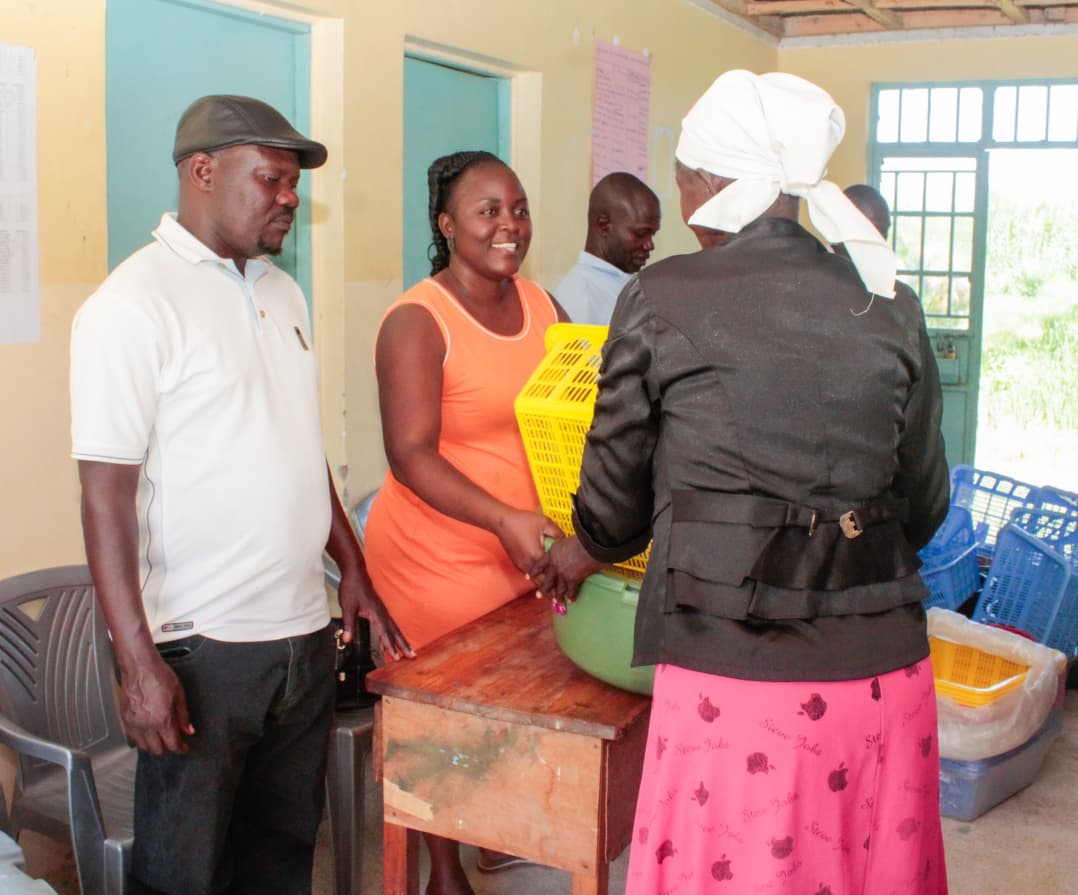 Fish farming widows